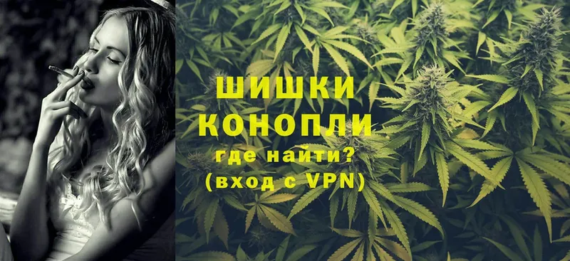 Каннабис OG Kush  Брюховецкая 